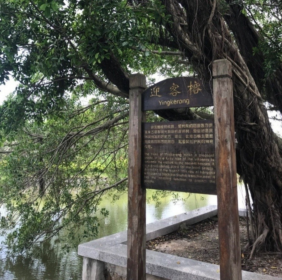 1561371042984193.jpg 1561371042984193.jpg