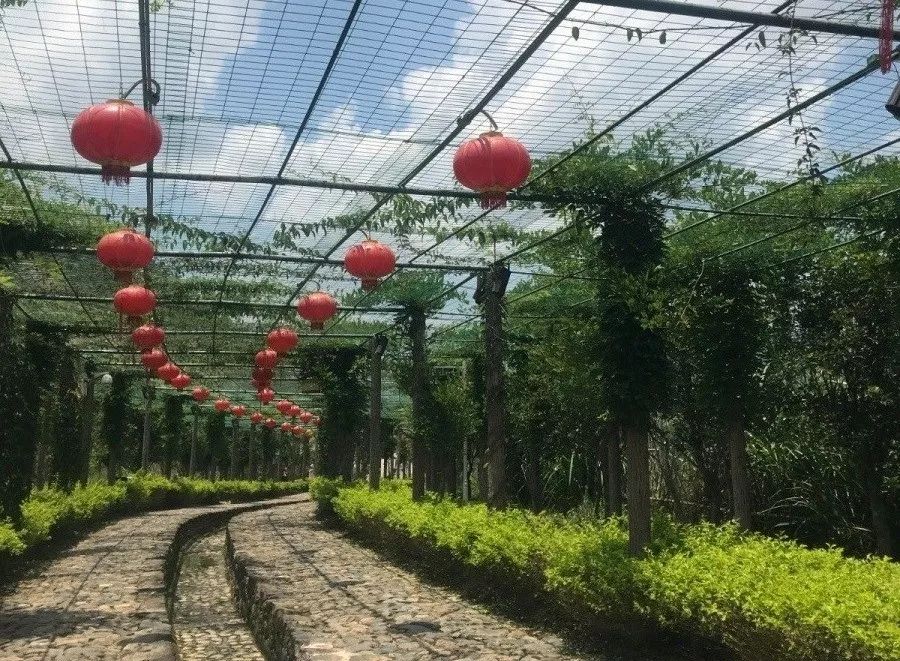 1561371508252751.jpg 1561371508252751.jpg